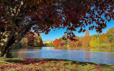 Time for an Autumn Reset